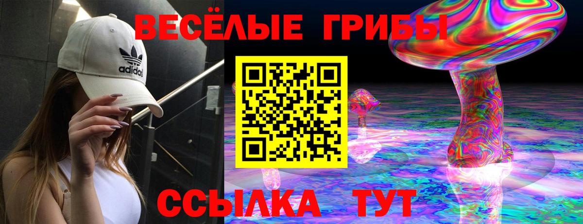 Луховицы  Галлюциногенные грибы MAGIC MUSHROOMS  Вход с VPN 